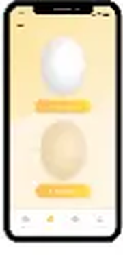 Yes I Can egg selection