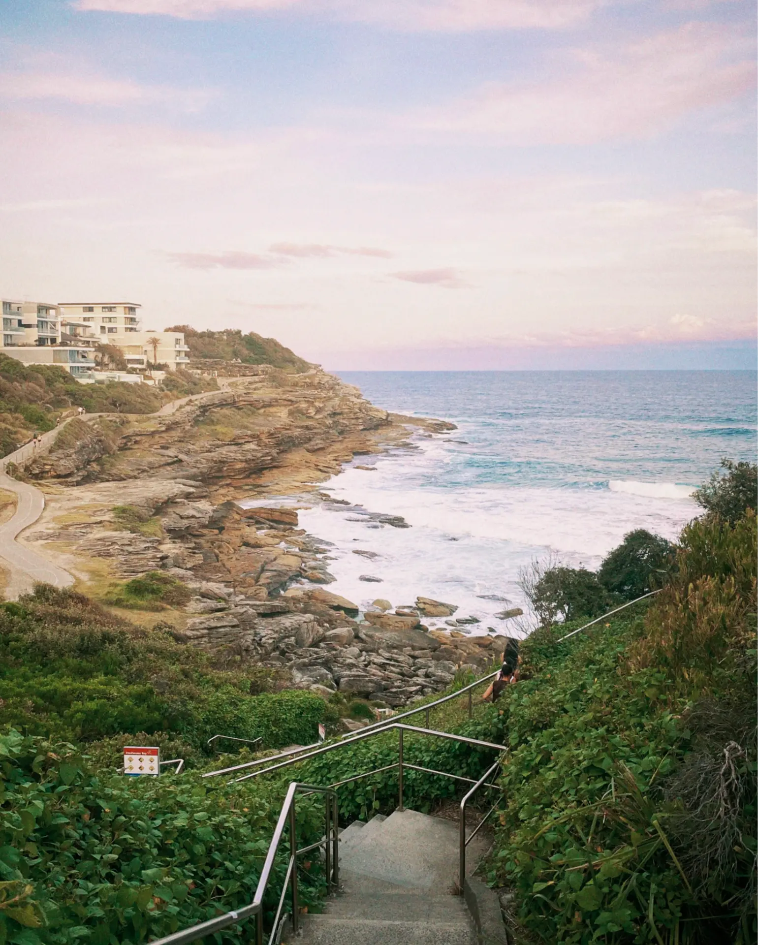Concrete steps leading down through coastal shrubs to the ocean