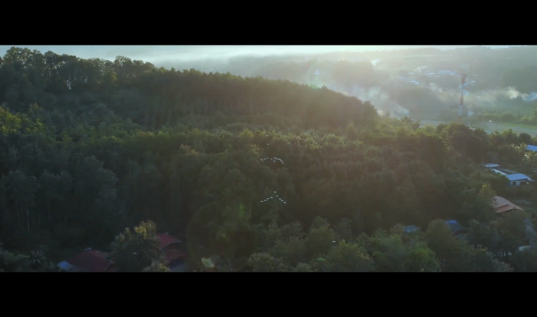 December short film still — photographing the lake at dusk